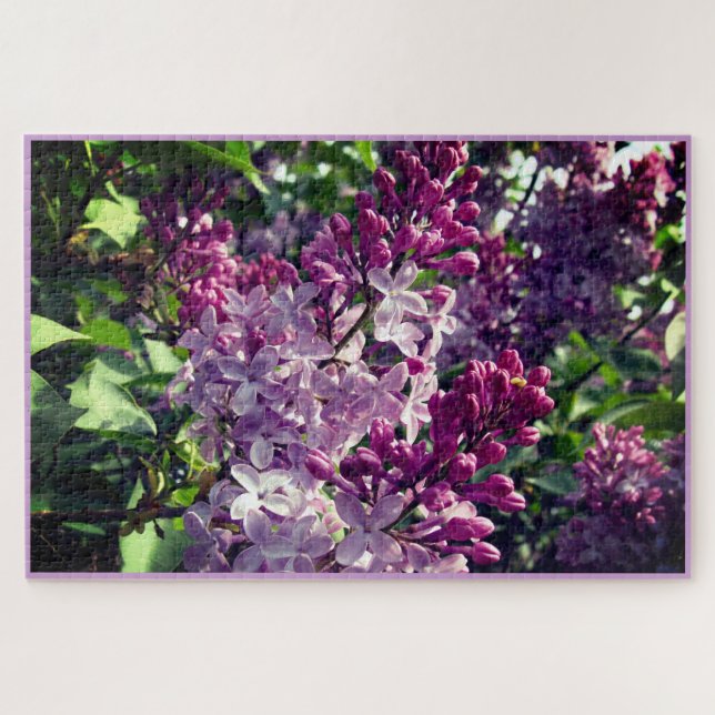 Quebra-cabeça Lovely Lilacs Bloom em Ohio Springtime (Horizontal)