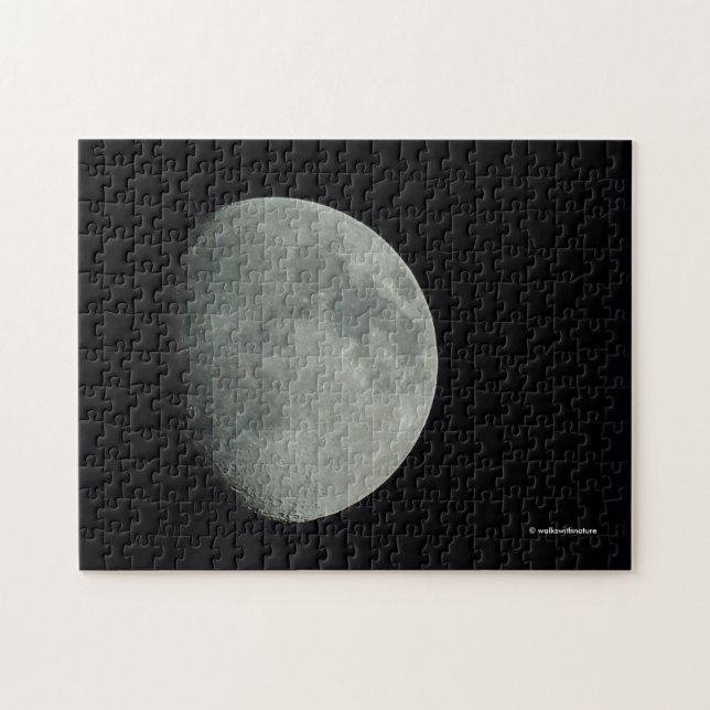 Quebra-cabeça Lua de Verão de Limpeza à Noite (Horizontal)