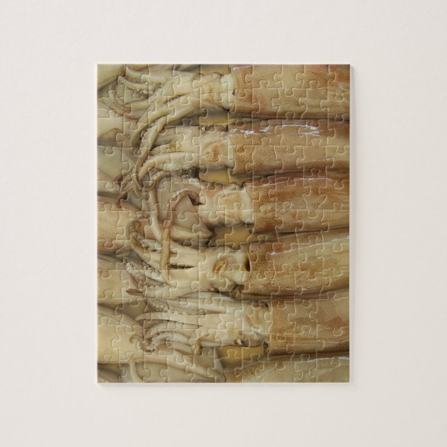 Quebra-cabeça Lula - Calamari (Vertical)