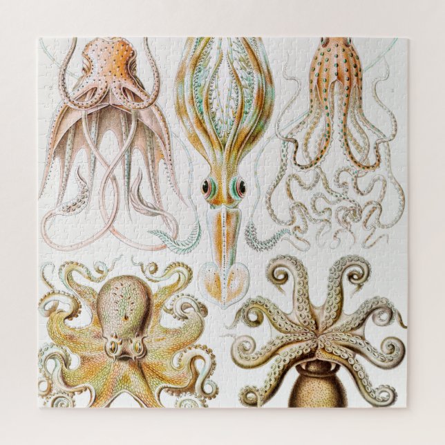 Quebra-cabeça Lula de Octopus, Gamochonia por Ernst Haeckel (Vertical)
