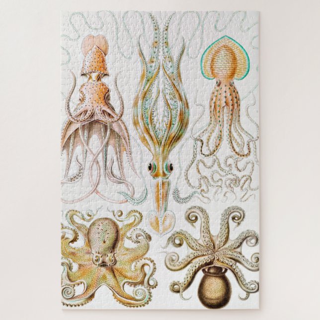 Quebra-cabeça Lula de Octopus, Gamochonia por Ernst Haeckel (Vertical)