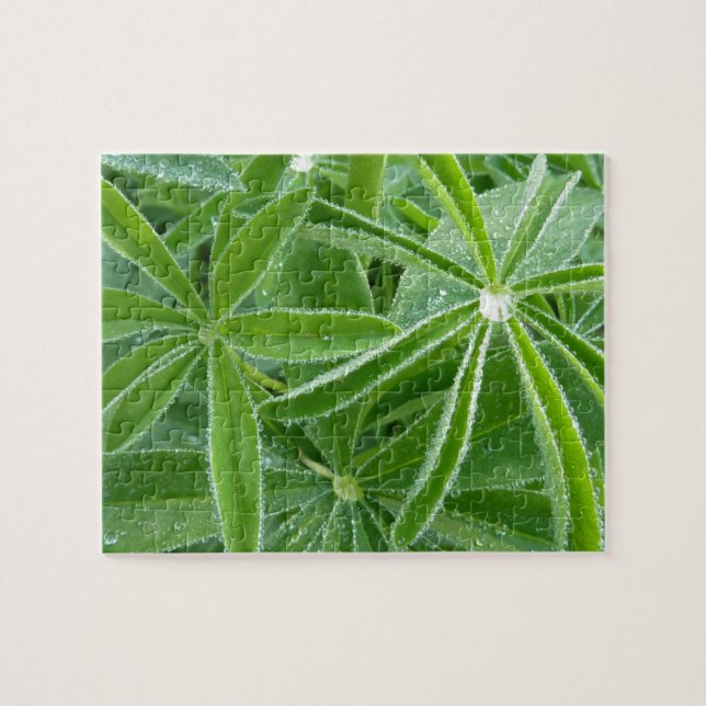 Quebra-cabeça Lupin Deixa Fotografia Botânica (Horizontal)