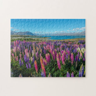 Quebra-cabeça Lupines de Russle no lago Tekapo Nova Zelândia