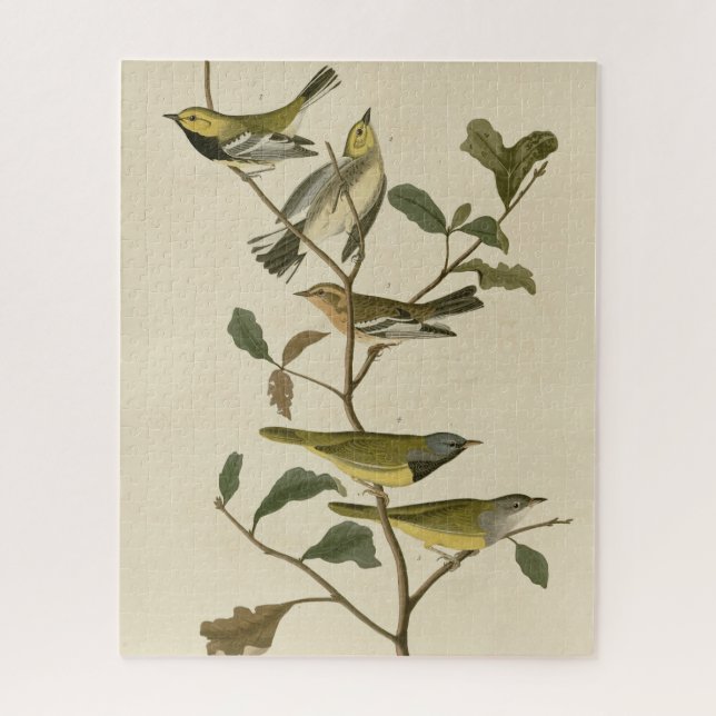 Quebra-cabeça Luto, Outros Warblers, Aves de Audubon da América (Vertical)