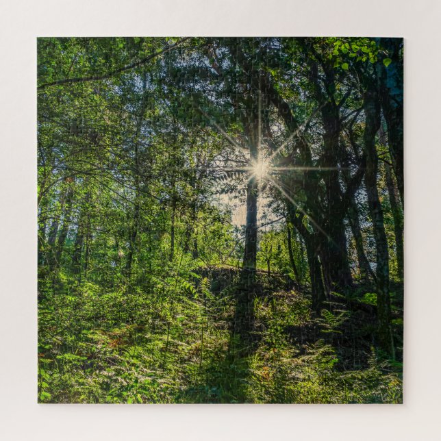 Quebra-cabeça Luz na Floresta (Vertical)