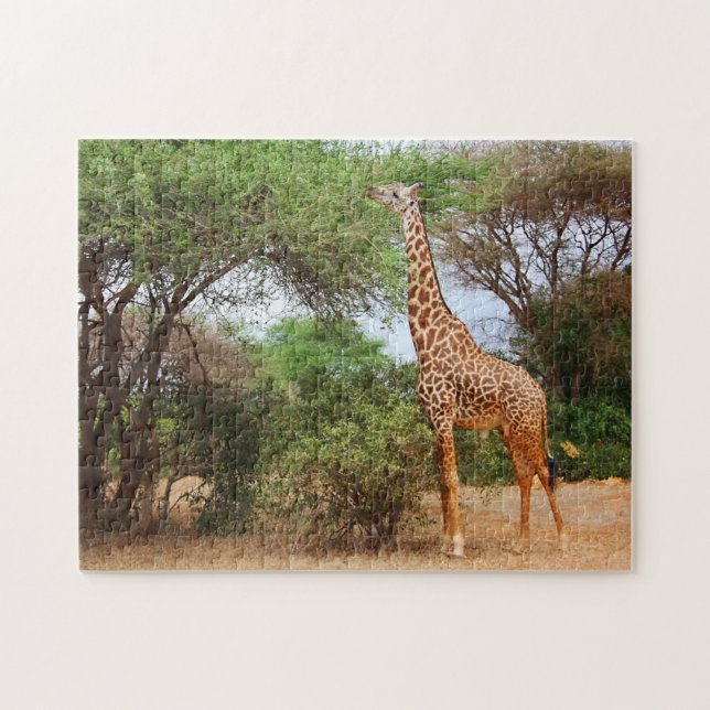 Quebra-cabeça Maasai Giraffe (Horizontal)
