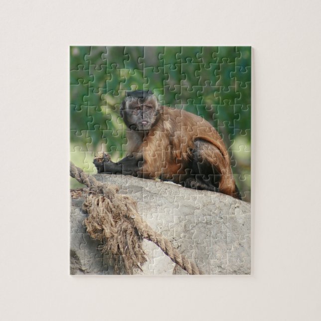 Quebra-cabeça Macaco Capuchin, Cute Mas Cranky (Vertical)