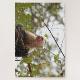 Quebra-cabeça Macaco Curioso, Costa Rica Capuchin
