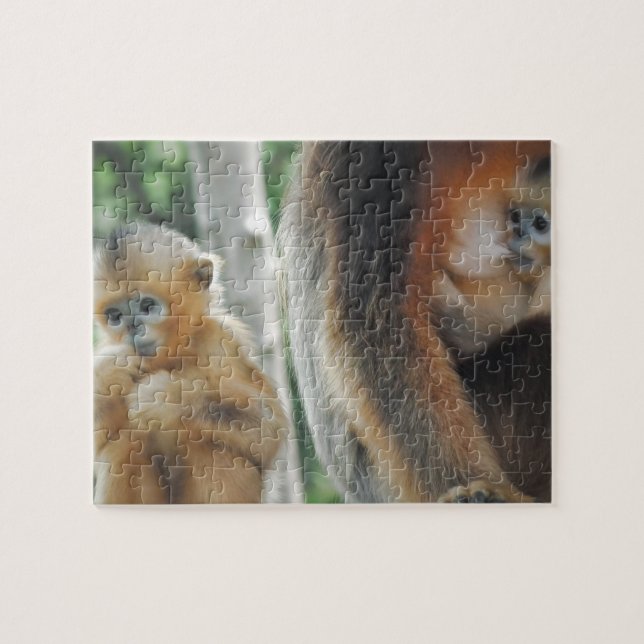 Quebra-cabeça Macaco do bebê com sua mãe (Horizontal)