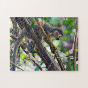 Quebra-cabeça Macaco-esquilo em Manuel Antonio NP - Costa Rica
