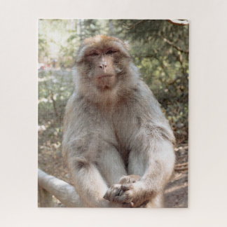 Quebra-cabeça Macaco fofo