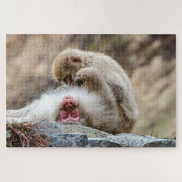 Quebra-cabeça Macaco Macaco Macaco, Fotografia Macaco Japonesa
