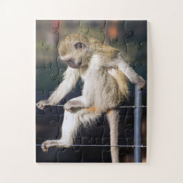 Quebra-cabeça Macaco no pensamento profundo