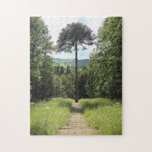 Quebra-cabeça Macaco-quebra-cabeça