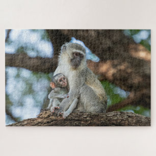 Quebra-cabeça Macaco Social – Foto de Animal Africano