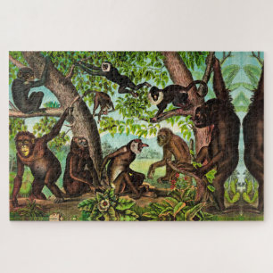 Quebra-cabeça Macacos