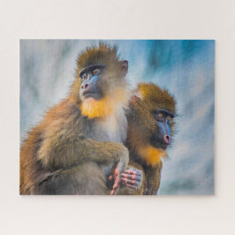 Quebra-cabeça Macacos Mandril.