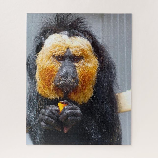 Quebra-cabeça Macacos Saki. (Vertical)