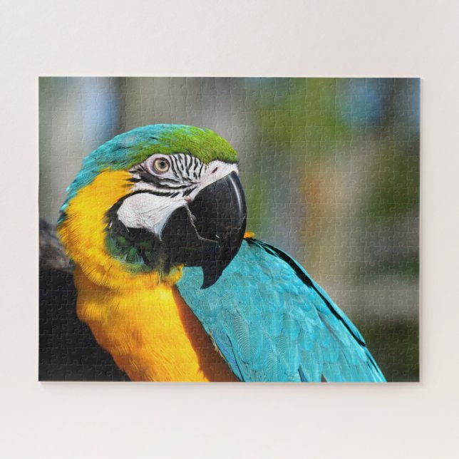 Quebra-cabeça Macaw Print, Value Poster Paper (Matte) (Horizontal)