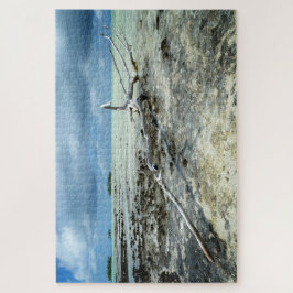 Quebra-cabeça Madeira inoperante no Pacífico sob um céu nebuloso