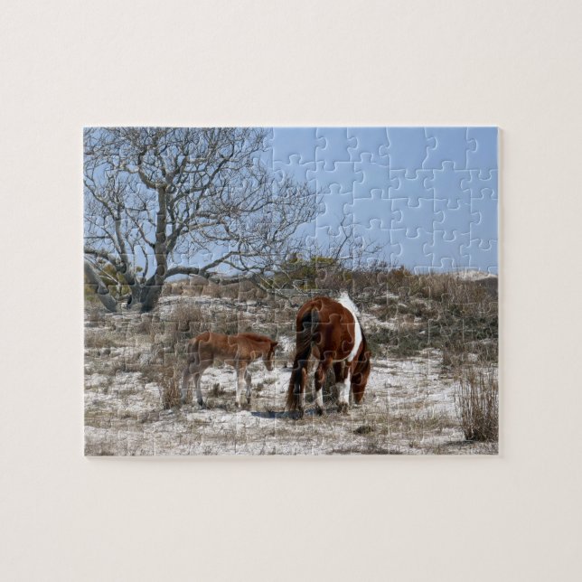 Quebra-cabeça Mãe e Potro no Parque Nacional Assateague (Horizontal)