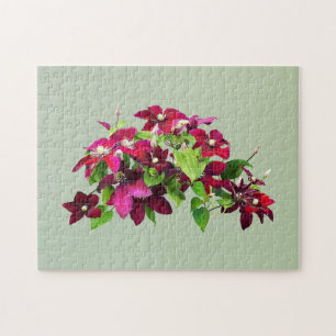 Quebra-cabeça Magenta Clematis Com Vinha
