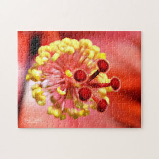 Quebra-cabeça Magma Hibiscus Stigma