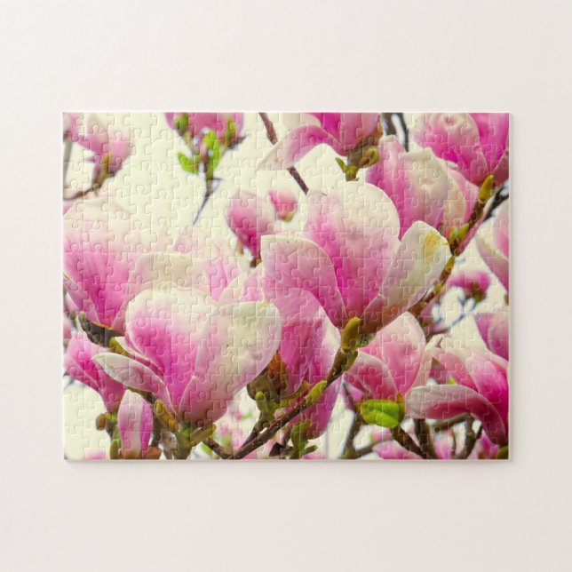 Quebra-cabeça Magnolia Flores Flores Florais Blossom Botânico Ch (Horizontal)