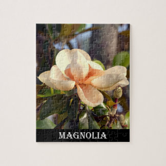 Quebra-cabeça Magnolia (Mississippi e Louisiana)