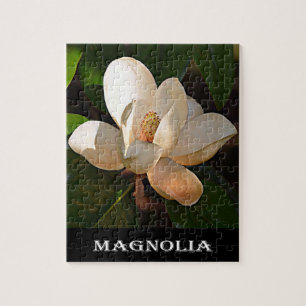 Quebra-cabeça Magnólia (Mississippi e Louisiana)