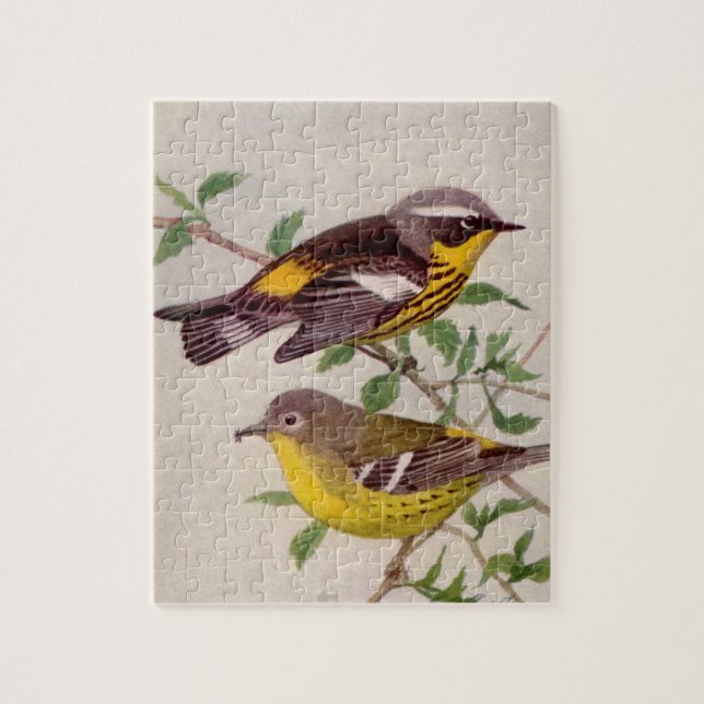 Quebra-cabeça Magnolia Warbler: Pintura de Louis Agassiz Fuentes (Vertical)