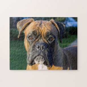 Quebra-cabeça Mais perto de um cachorro-boxer