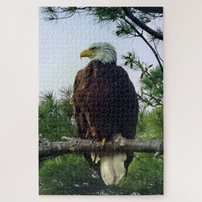 Quebra-cabeça Majestosa águia-calva pregada em árvore (Vertical)