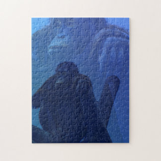 Quebra-cabeça Majexpressa Orangutan