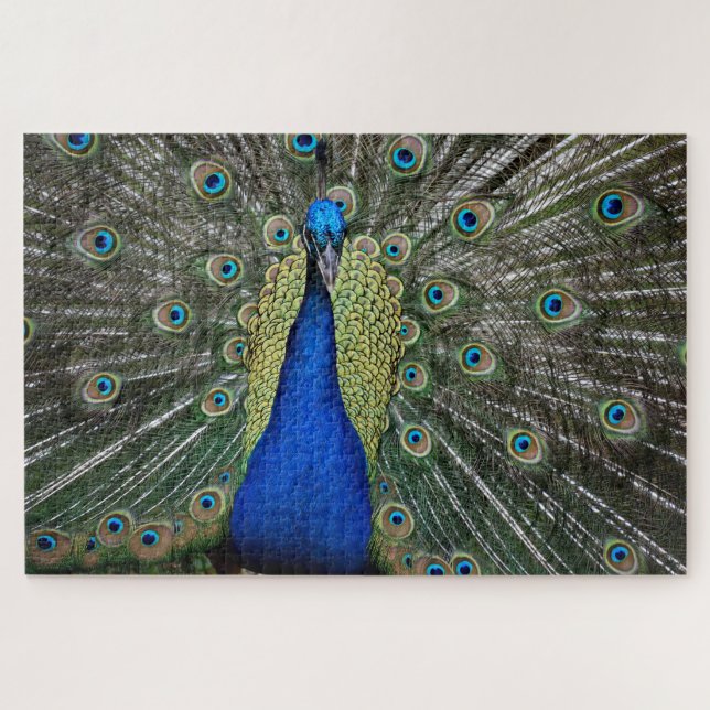 Quebra-cabeça Majexpressa Peacock (Horizontal)