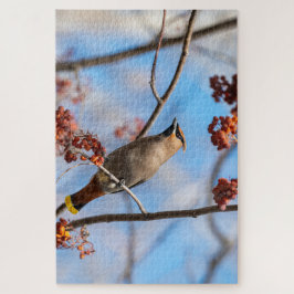 Quebra-cabeça Majexpressas Bird, canadenses Bohemian Waxwing