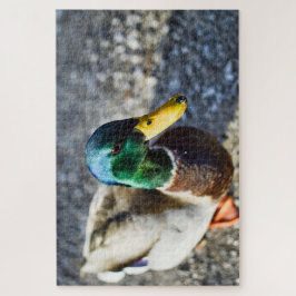 Quebra-cabeça Male mallard duck close up portrait