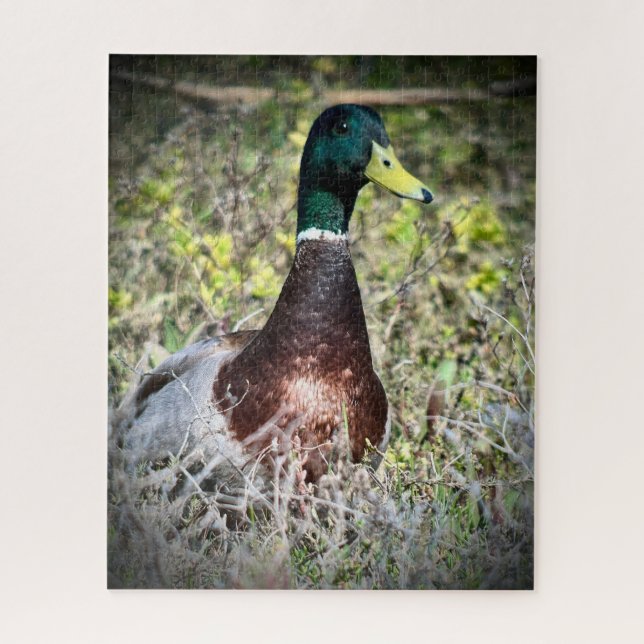Quebra-cabeça Mallard (Vertical)