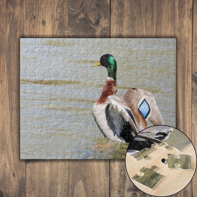 Quebra-cabeça Mallard Duck Diamond (Mallard Duck Diamond Jigsaw Puzzle)