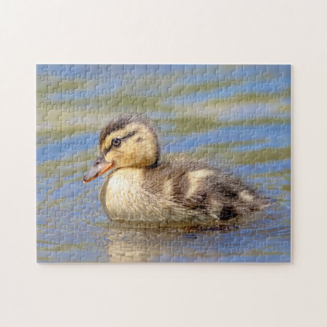Quebra-cabeça Mallard Duckling (Horizontal)