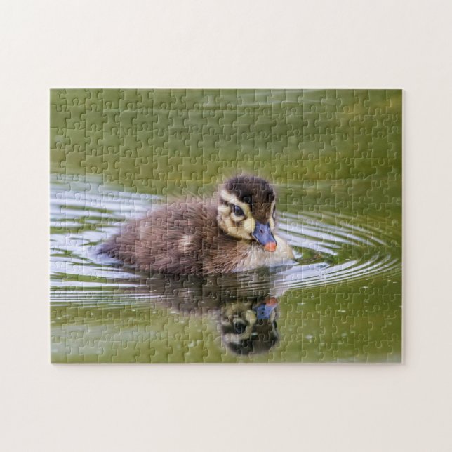 Quebra-cabeça Mallard Duckling (Horizontal)