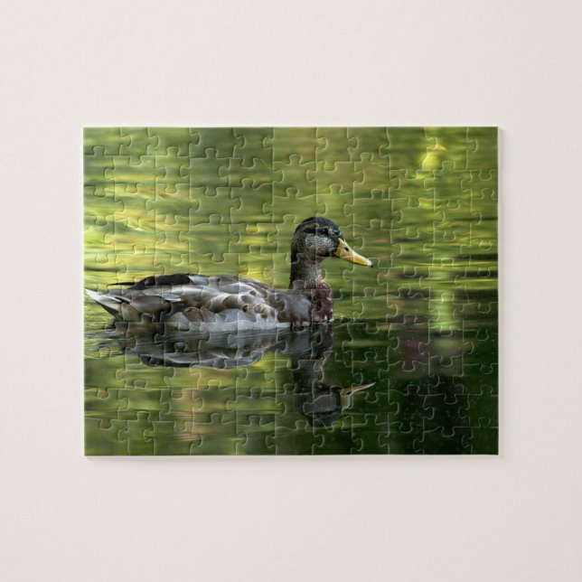 Quebra-cabeça Mallard Espelhado Na Água Verde (Horizontal)