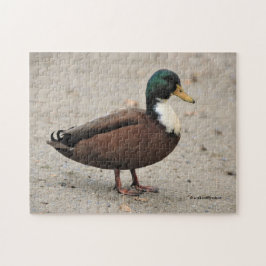 Quebra-cabeça Mallard - Pato Ímpar
