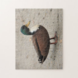 Quebra-cabeça Mallard - Pato Ímpar