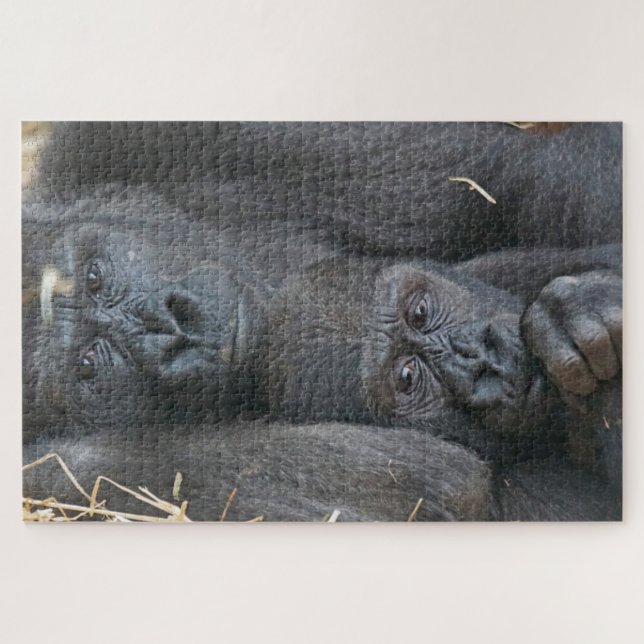 Quebra-cabeça Mamãe e Baby Gorilla (Horizontal)