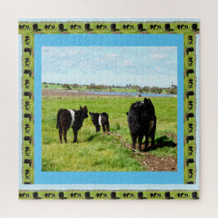 Quebra-cabeça Mamãe E Bebê Belaram Vacas Galloway,