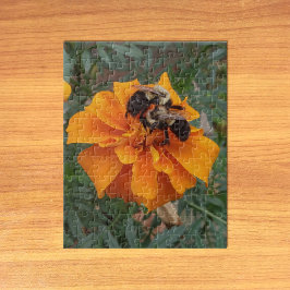 Quebra-cabeça Mamangabas na Flor Marigold