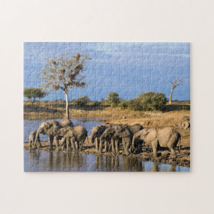 Quebra-cabeça Manada de Elefante-da-savana-africano (Loxodonta A