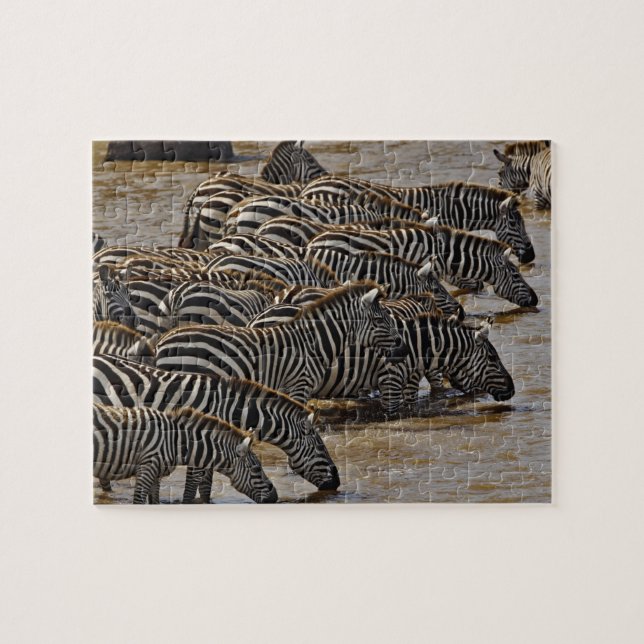 Quebra-cabeça Manada de Zebras-de-Burchell bebendo do Mara (Horizontal)