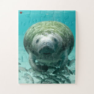 Quebra-cabeça Manatee Flórida